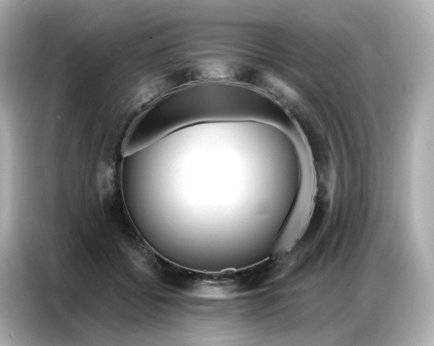 X0000086930556200704301119