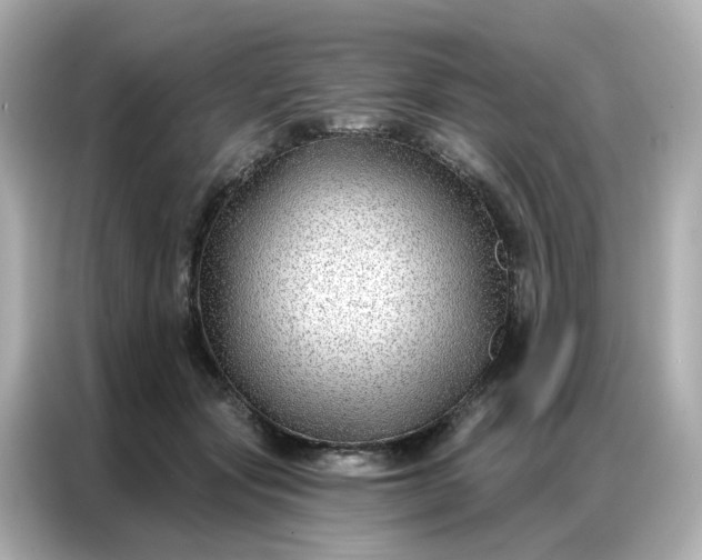 X0000086930557200704301119