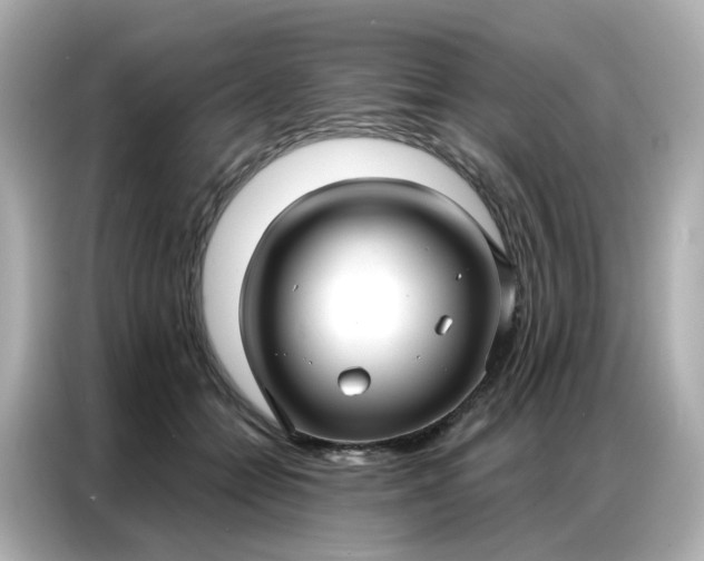 X0000086930558200704301119