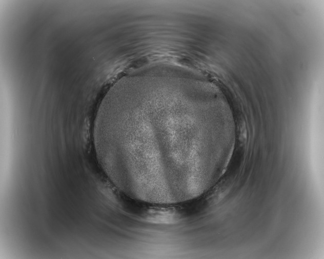 X0000086930559200704301119