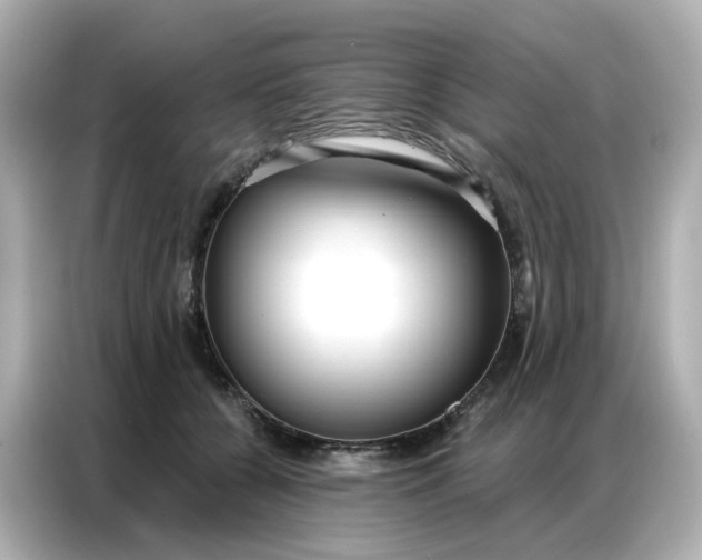 X0000086930560200704301119