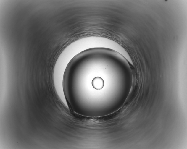 X0000086930562200704301119