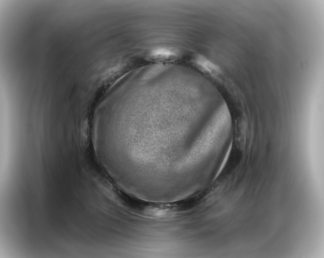 X0000086930563200704301119