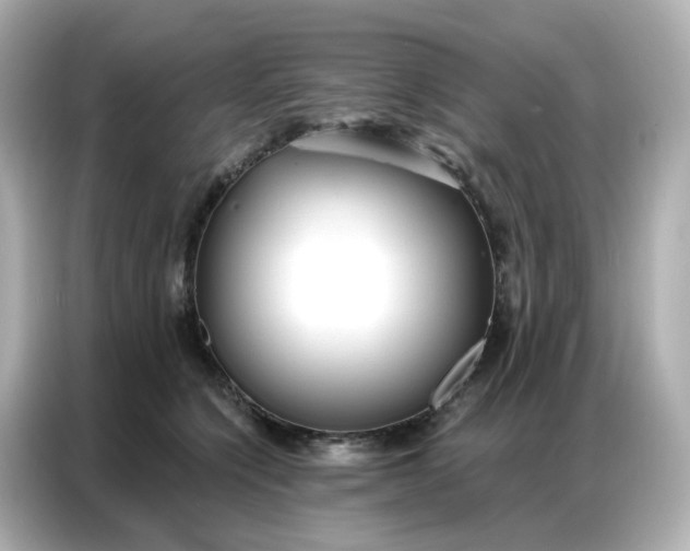 X0000086930564200704301119