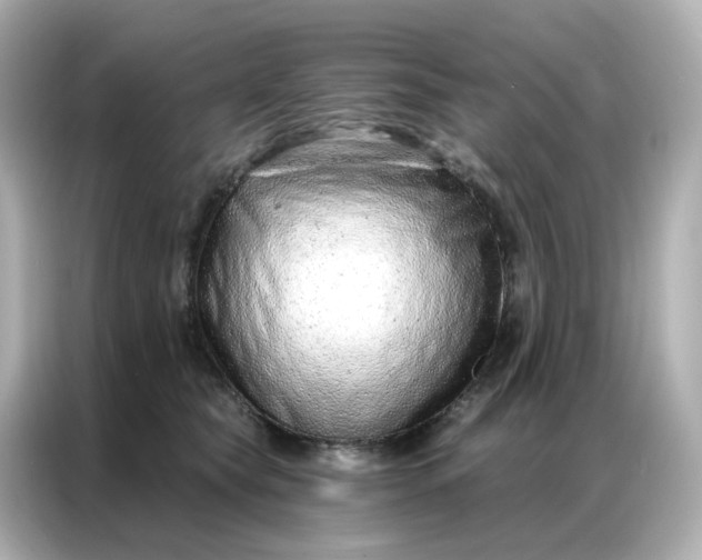 X0000086930565200704301119