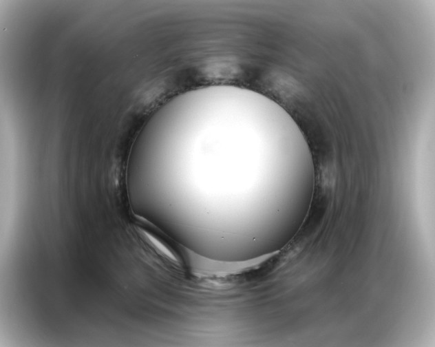 X0000086930567200704301119