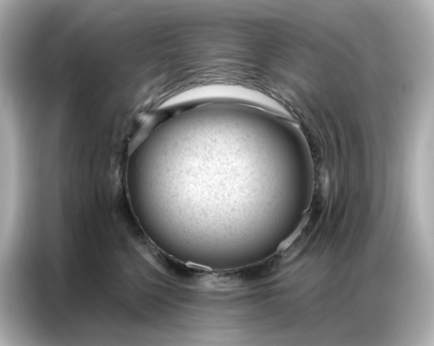 X0000086930568200704301119