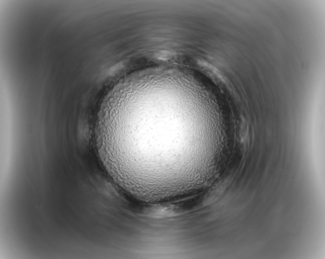 X0000086930569200704301119