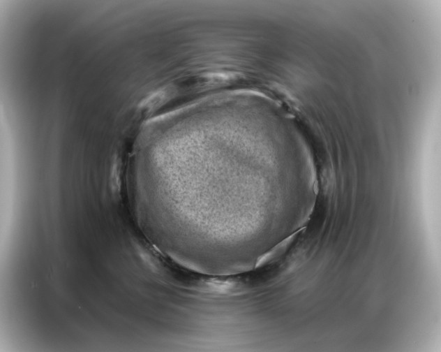 X0000086930570200704301119