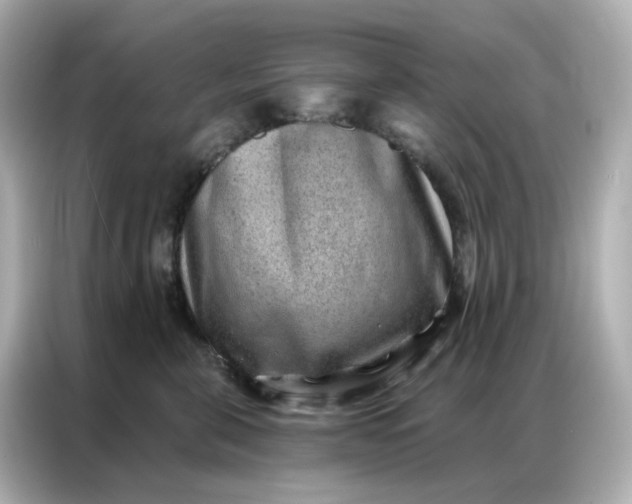 X0000086930571200704301119