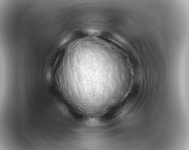 X0000086930573200704301119