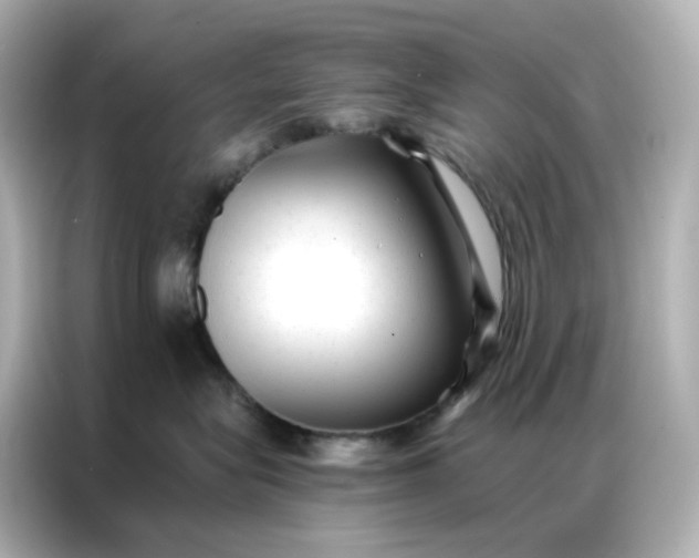 X0000086930575200704301119