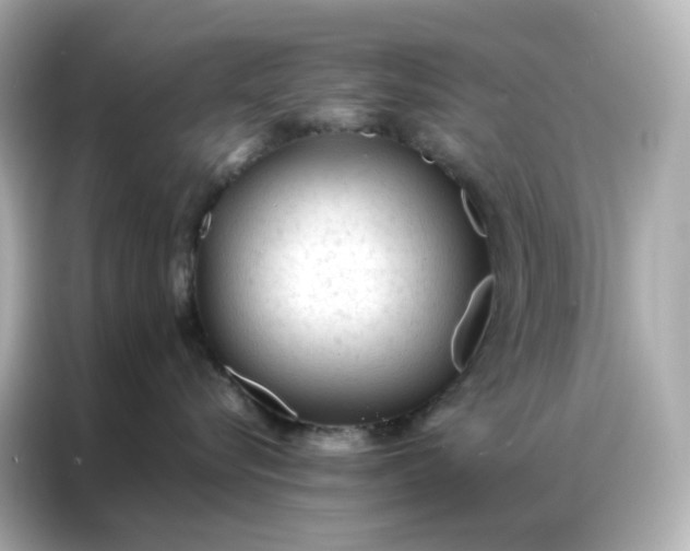 X0000086930576200704301119