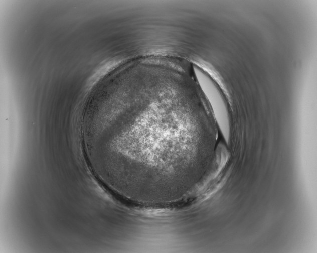 X0000086930577200704301119