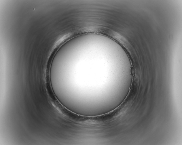 X0000086930578200704301119