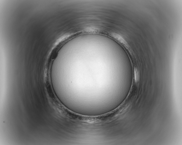 X0000086930579200704301119