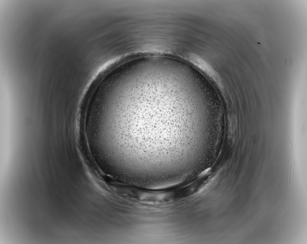 X0000086930580200704301119