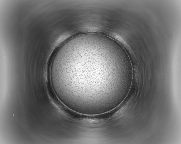 X0000086930582200704301119