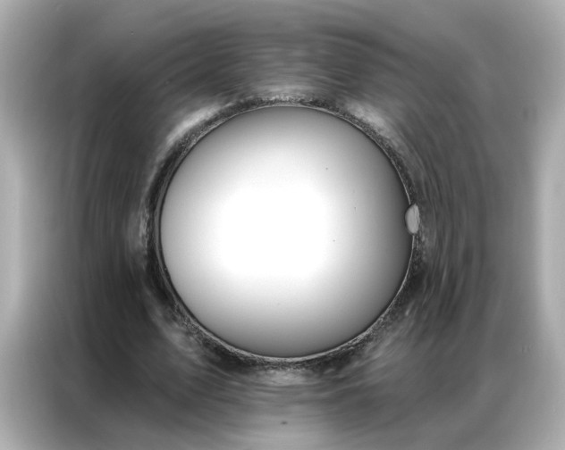 X0000086930583200704301119