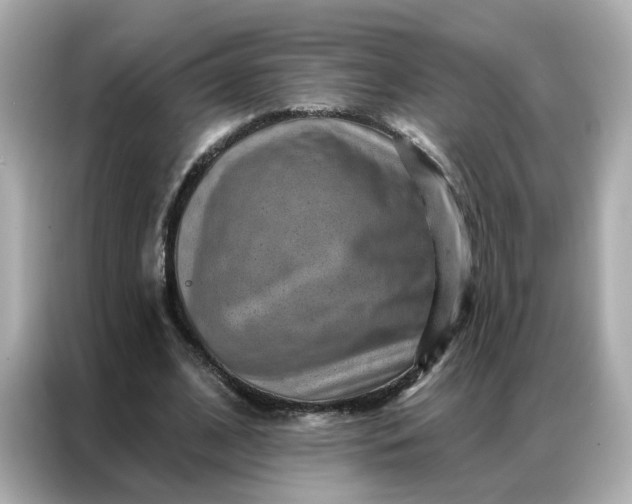 X0000086930584200704301119