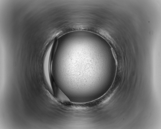 X0000086930585200704301119