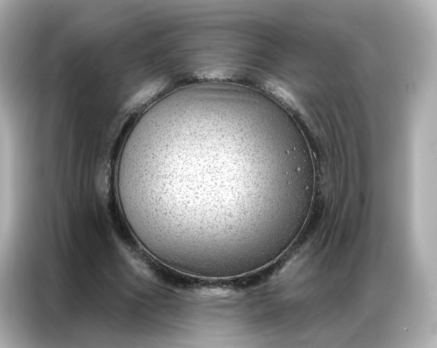 X0000086930586200704301119