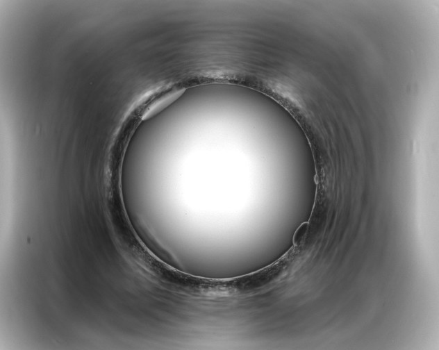 X0000086930587200704301119