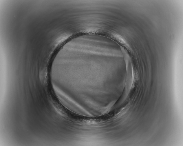 X0000086930588200704301119