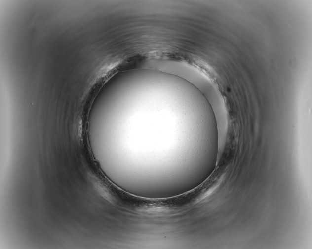 X0000086930589200704301119