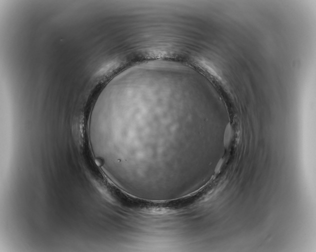 X0000086930590200704301119