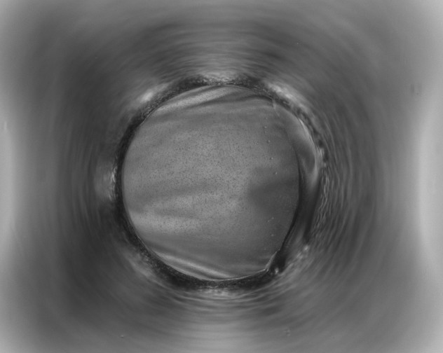 X0000086930596200704301119