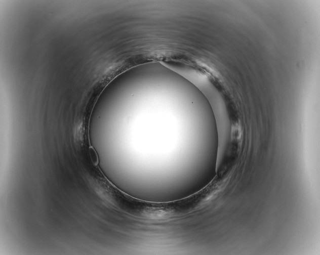 X0000086930597200704301119