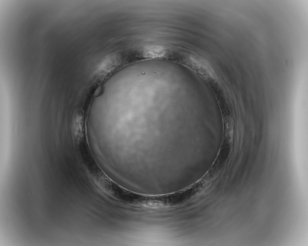 X0000086930598200704301118