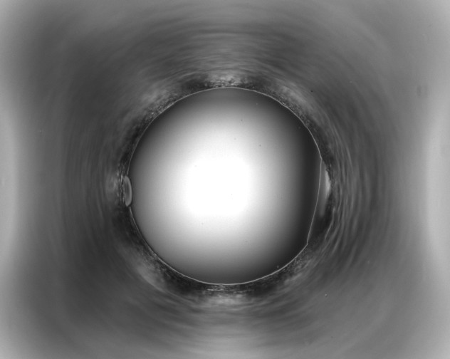 X0000086930601200704301118