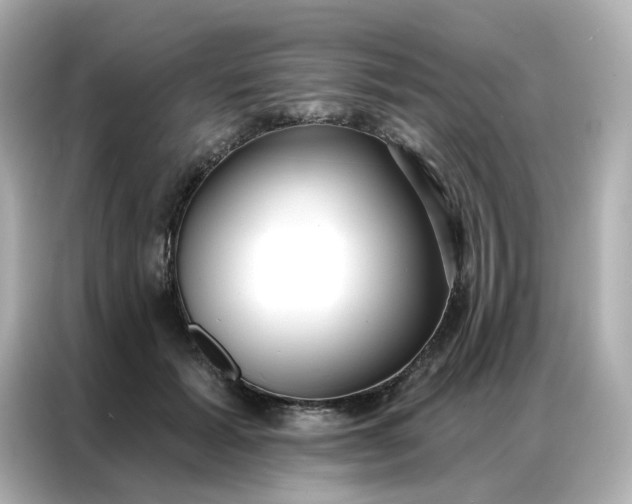 X0000086930605200704301118