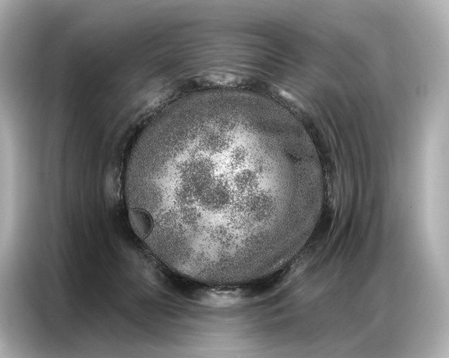 X0000086930606200704301118