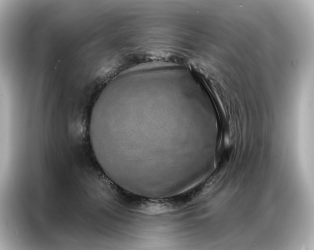 X0000086930608200704301118