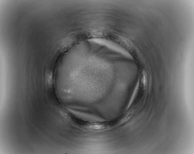 X0000086930610200704301118