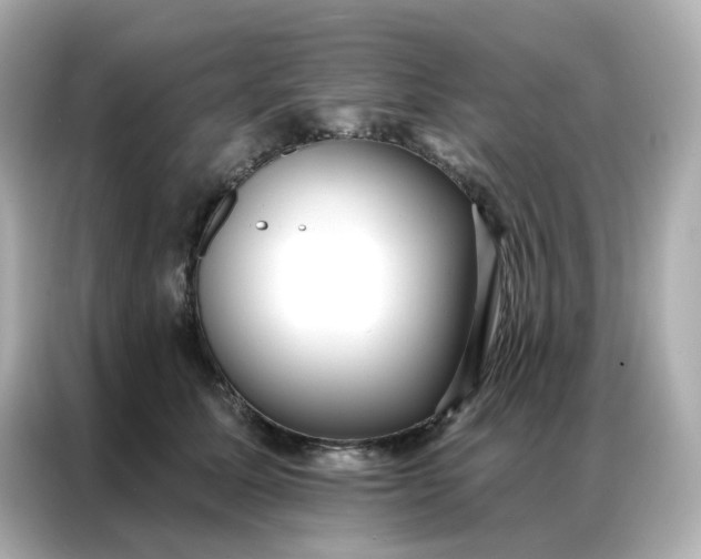 X0000086930611200704301118