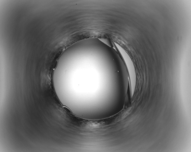 X0000086930613200704301118