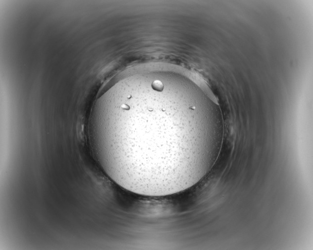 X0000086930615200704301118