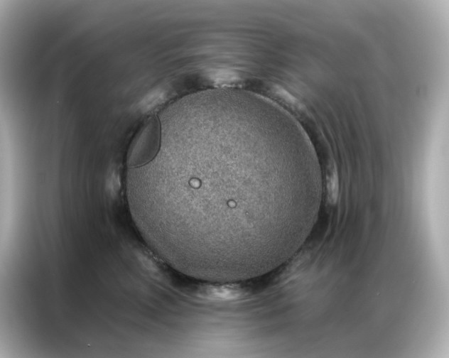 X0000086930618200704301118