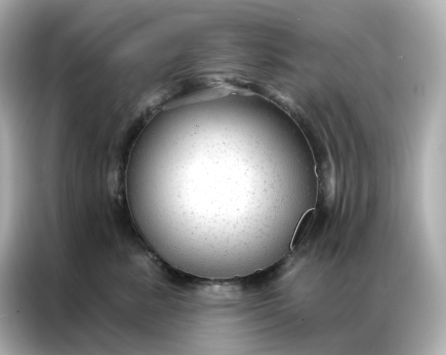 X0000086930619200704301118