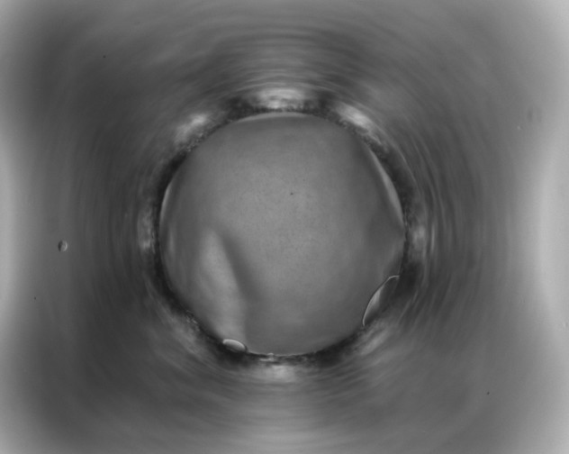 X0000086930620200704301118