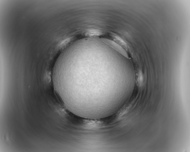 X0000086930621200704301118