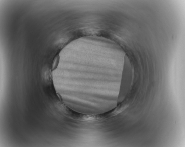 X0000086930624200704301118