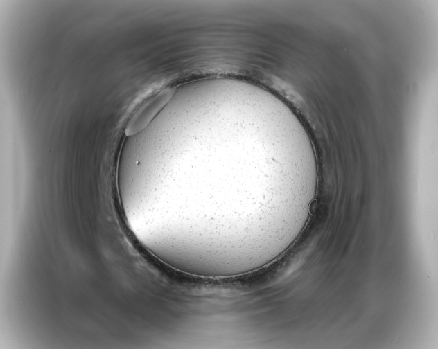 X0000086930625200704301118