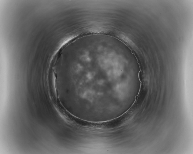 X0000086930626200704301118