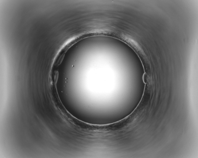 X0000086930628200704301118