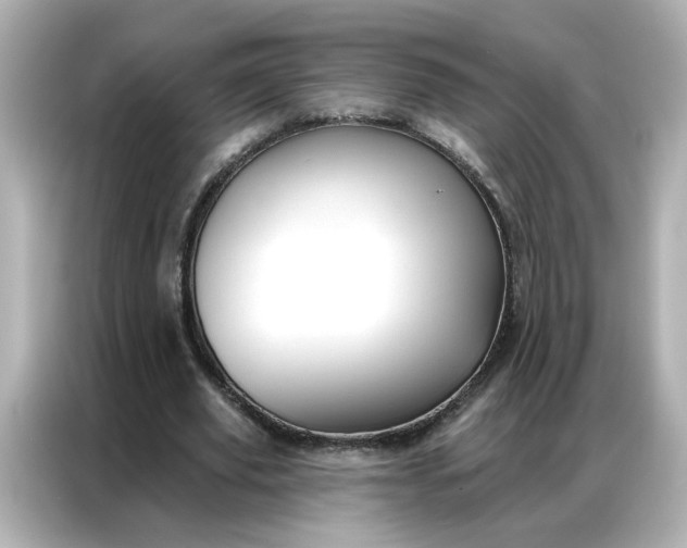 X0000086930629200704301118